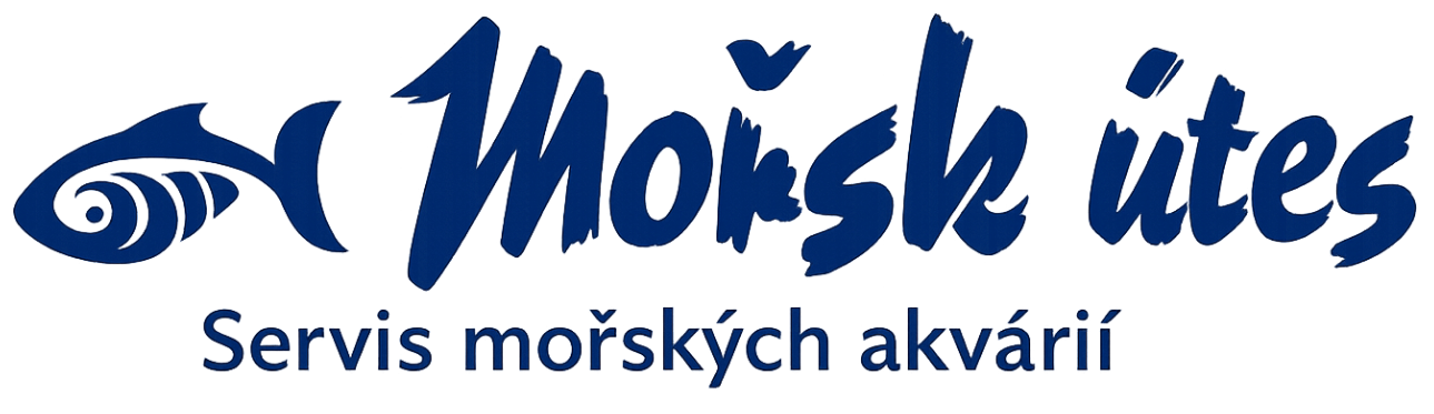 Mořský útes - servis mořských akvárií